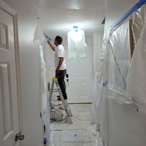 Expert Painting Services